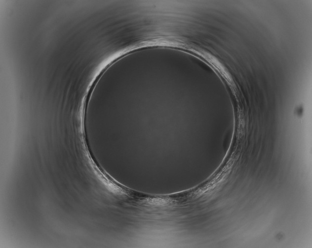 X0000101141246200806270912