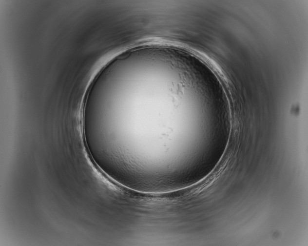 X0000101141247200806270912