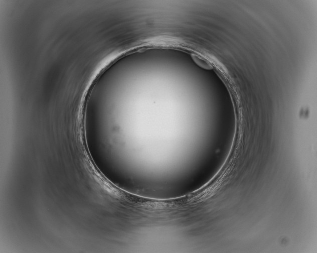 X0000101141248200806270912