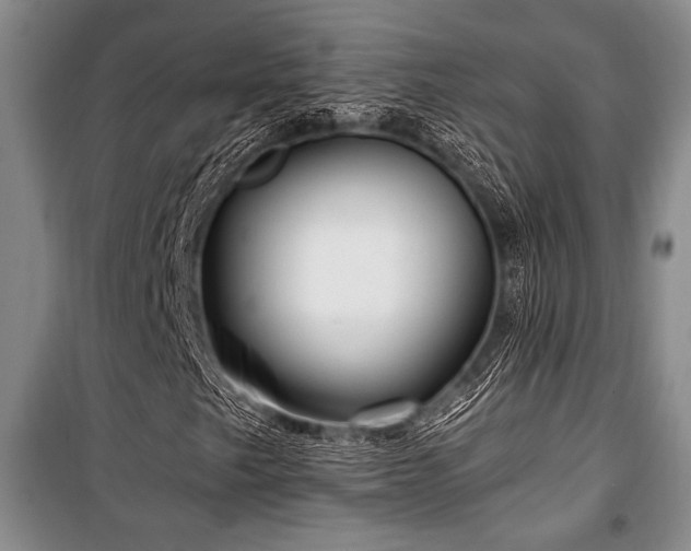 X0000101141249200806270911