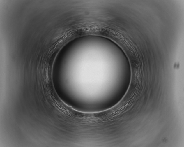 X0000101141250200806270911