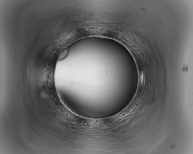 X0000101141251200806270911