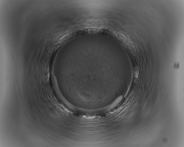 X0000101141252200806270911