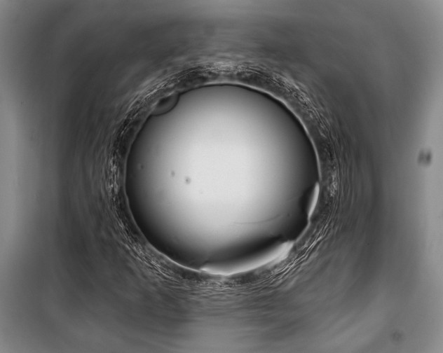 X0000101141253200806270911