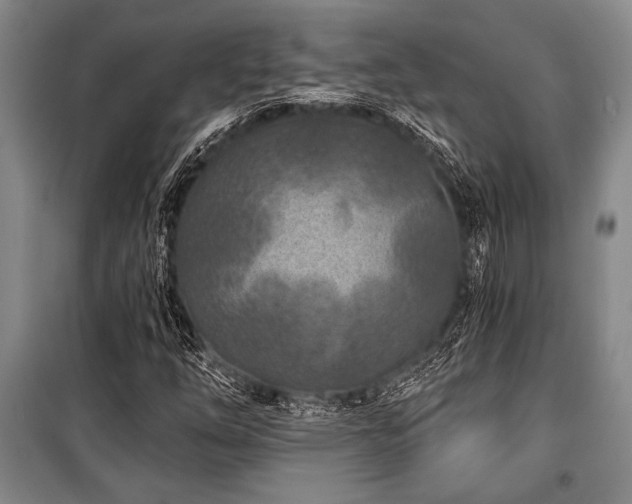 X0000101141254200806270911