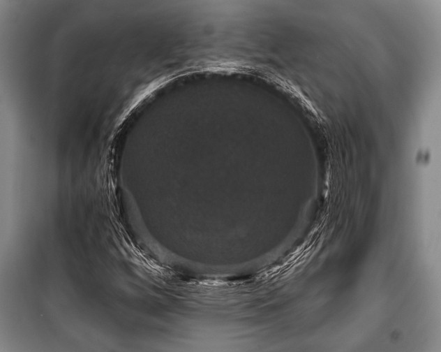 X0000101141256200806270911