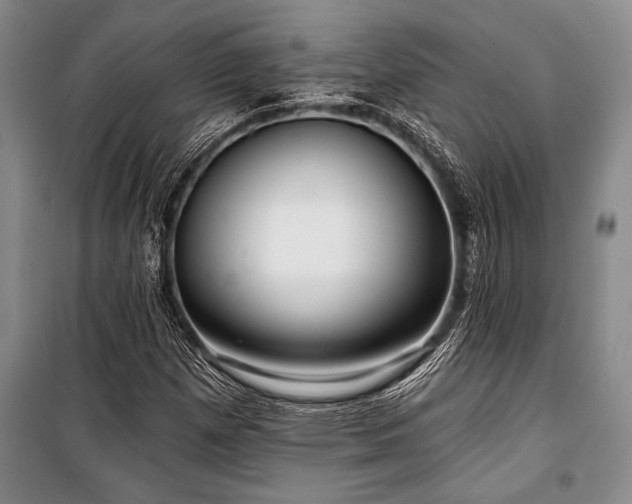 X0000101141257200806270911