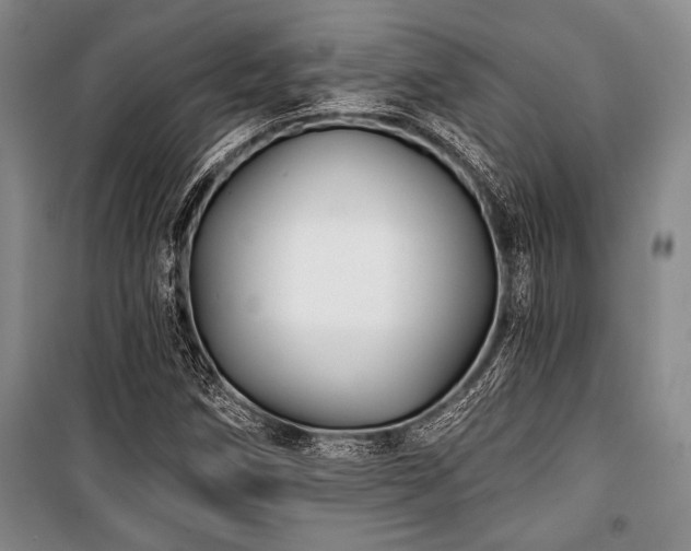 X0000101141258200806270911