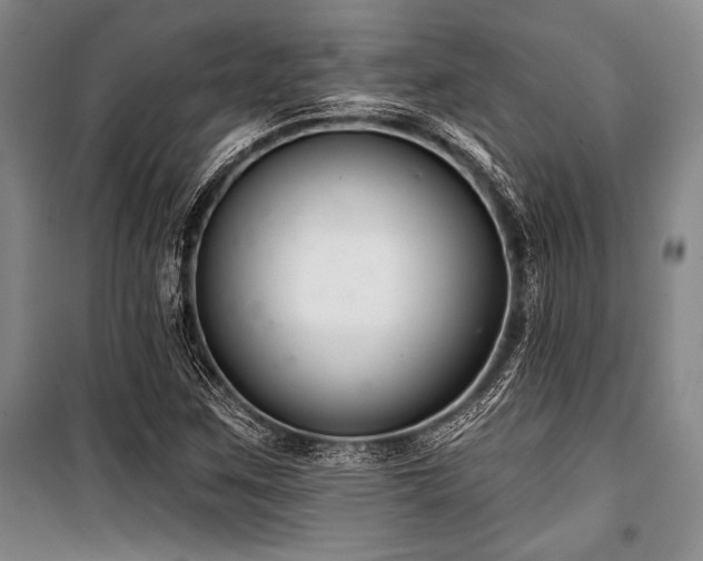 X0000101141259200806270911