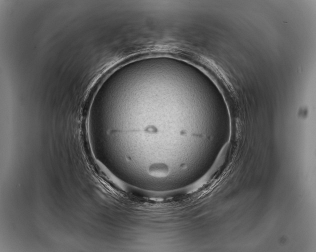 X0000101141260200806270911