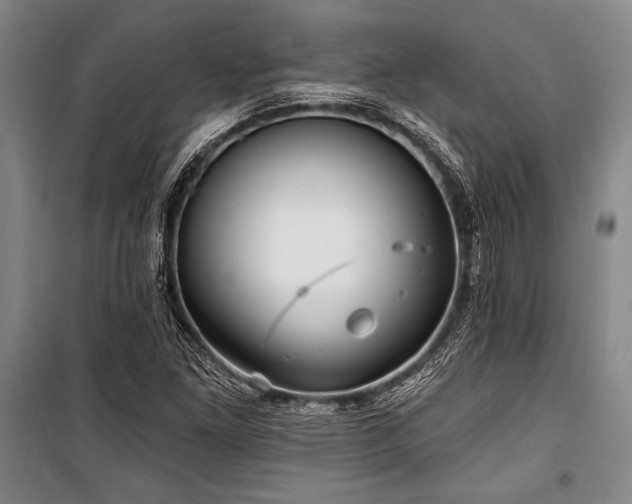 X0000101141261200806270911