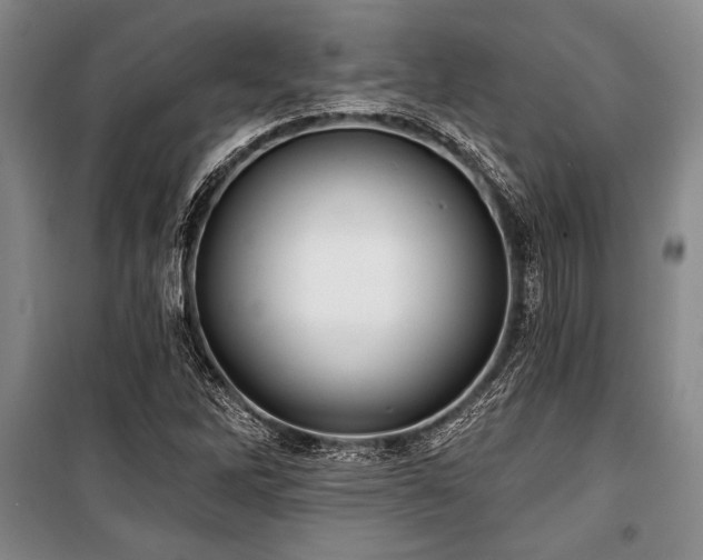 X0000101141262200806270911