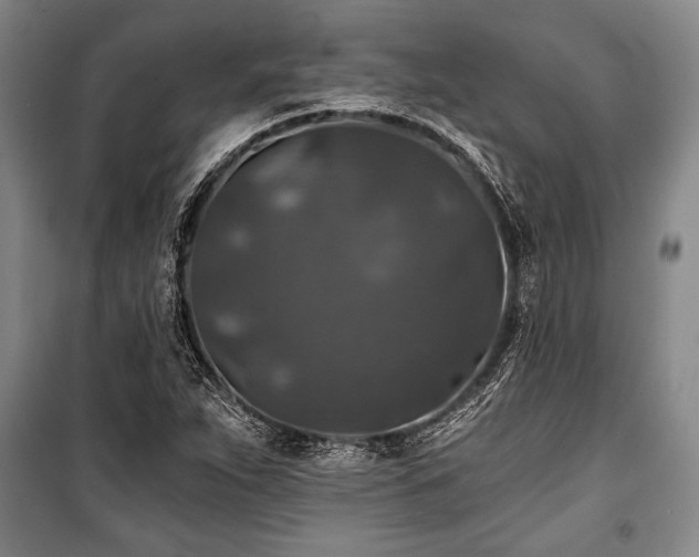 X0000101141263200806270911