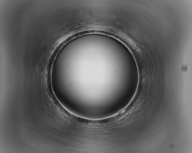 X0000101141264200806270911