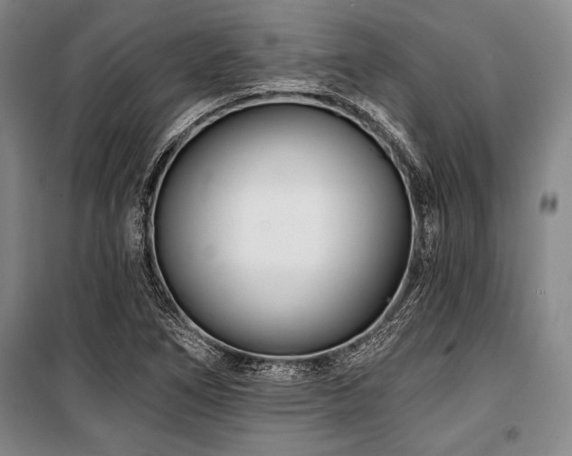 X0000101141266200806270911