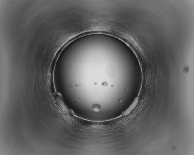 X0000101141268200806270911