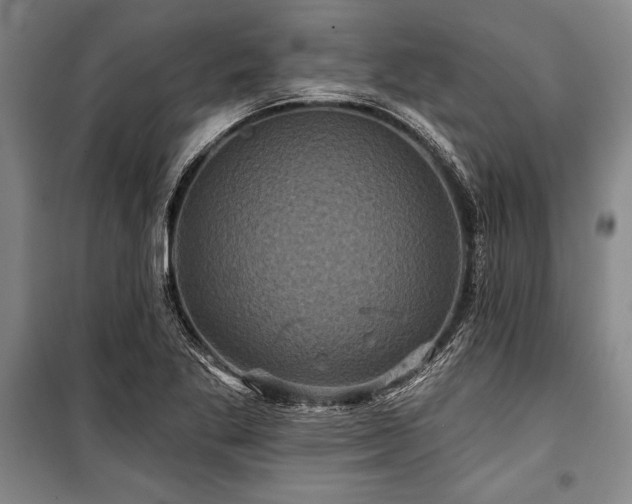 X0000101141269200806270911