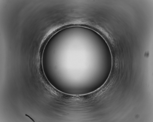 X0000101141270200806270911