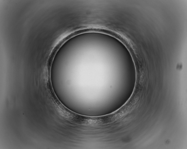 X0000101141271200806270911