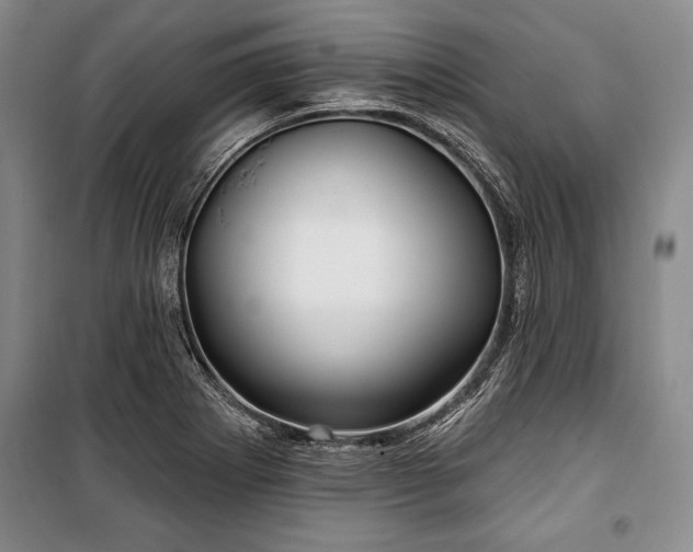 X0000101141273200806270911