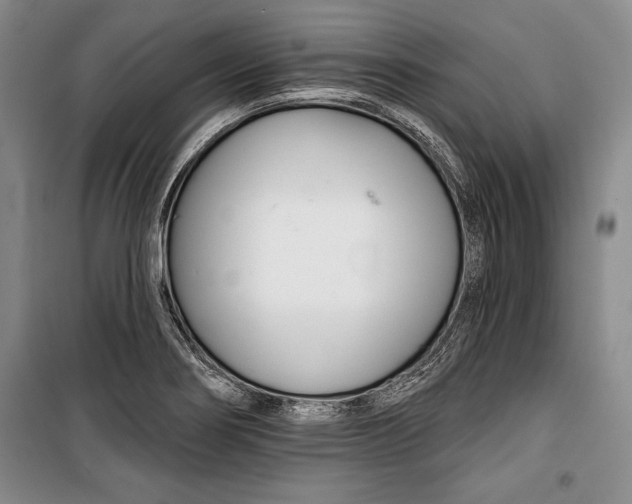 X0000101141274200806270911