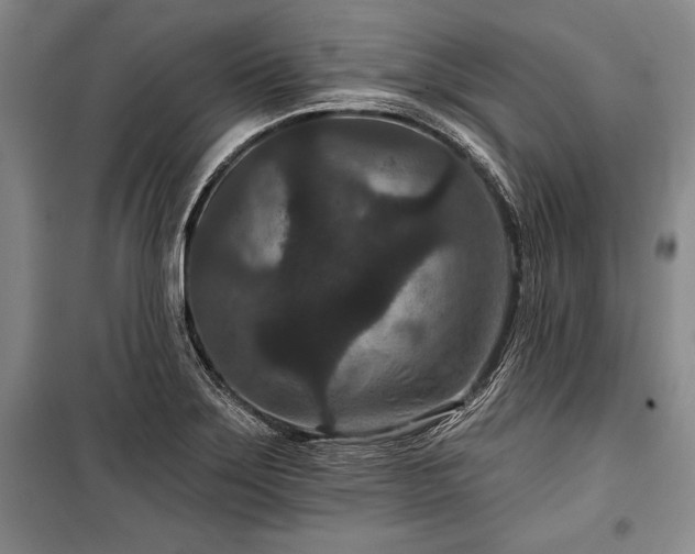 X0000101141275200806270911