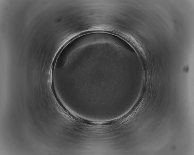 X0000101141276200806270911