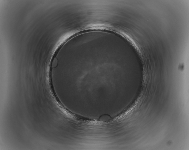 X0000101141277200806270911