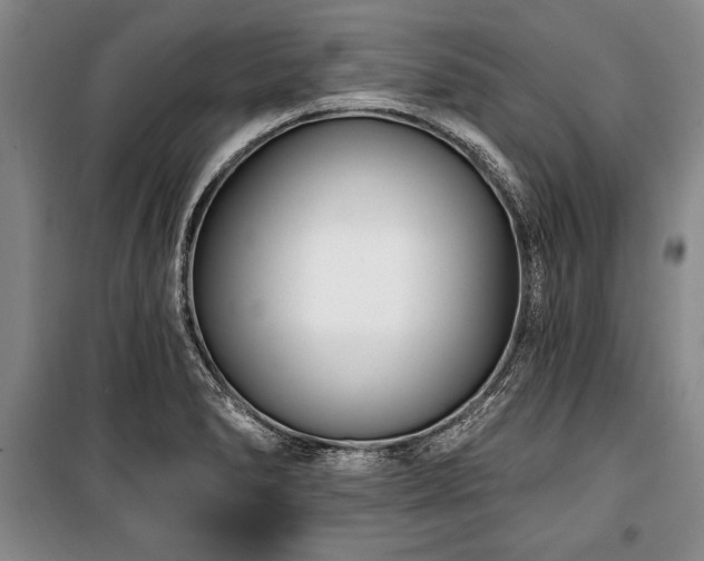 X0000101141278200806270911