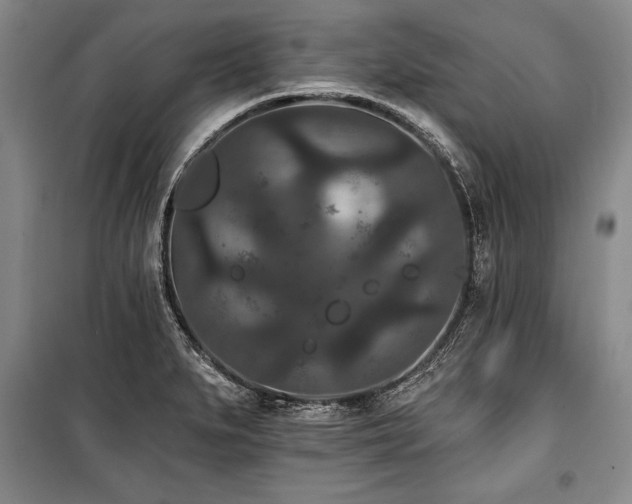 X0000101141279200806270911