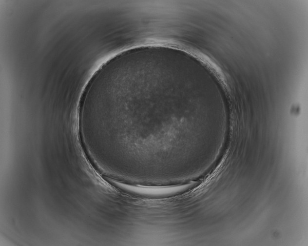 X0000101141280200806270911