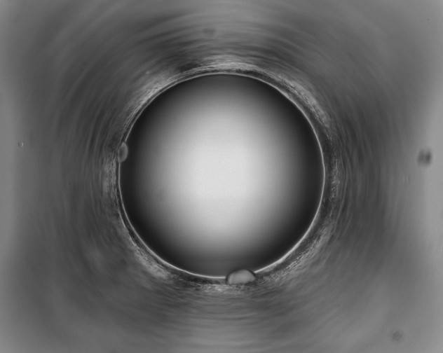 X0000101141281200806270911