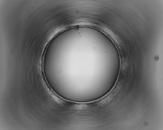 X0000101141282200806270911