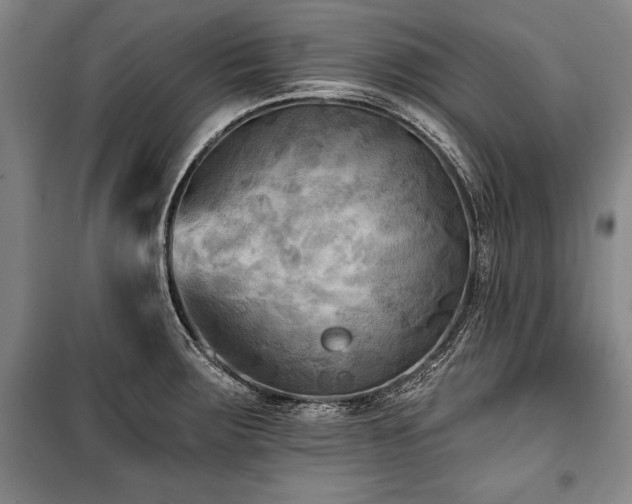 X0000101141283200806270911