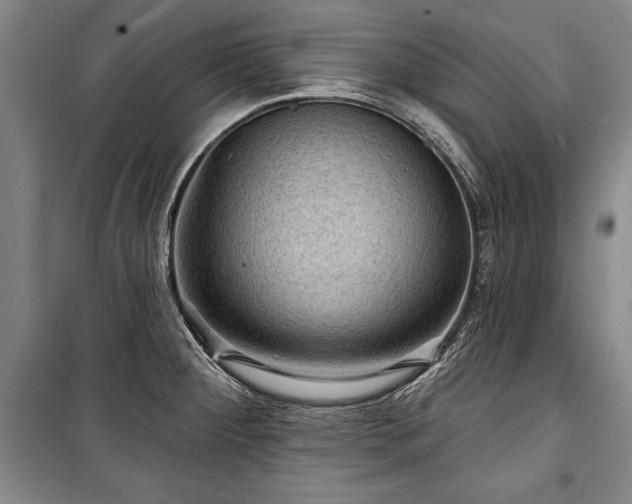 X0000101141284200806270911