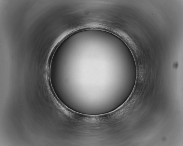 X0000101141286200806270911