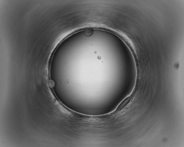 X0000101141287200806270911