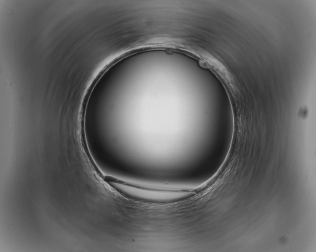 X0000101141288200806270911