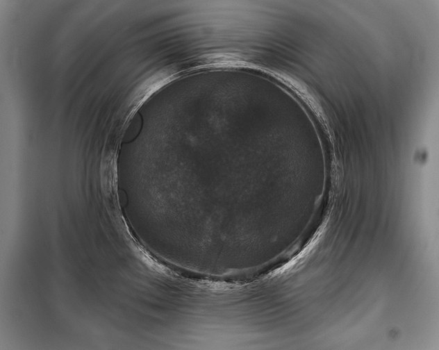 X0000101141289200806270911