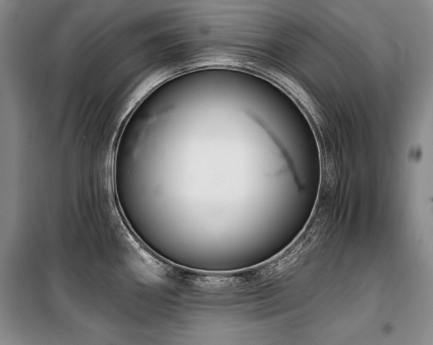 X0000101141290200806270911