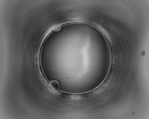 X0000101141291200806270911