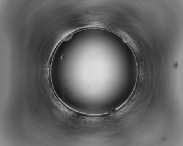 X0000101141292200806270911