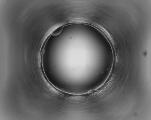 X0000101141293200806270911