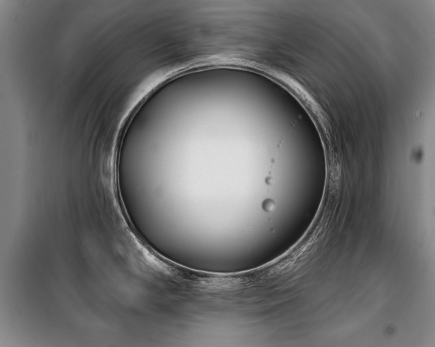 X0000101141294200806270911