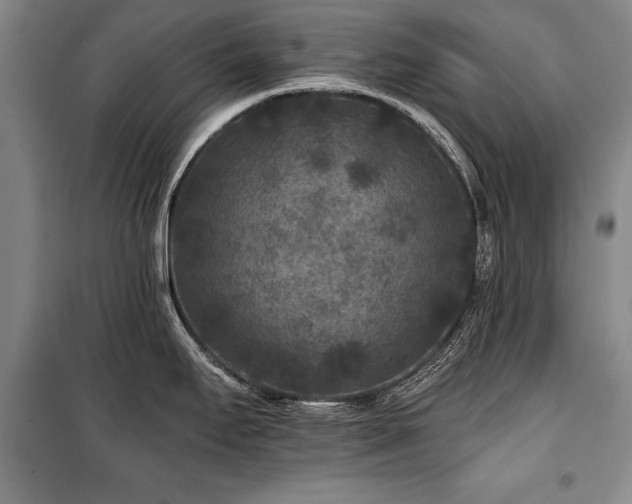 X0000101141295200806270911