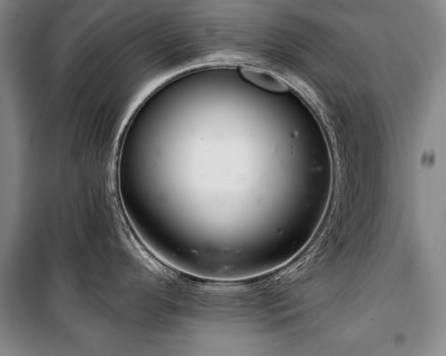 X0000101141296200806270911