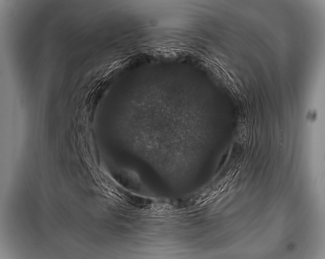 X0000101141297200806270910