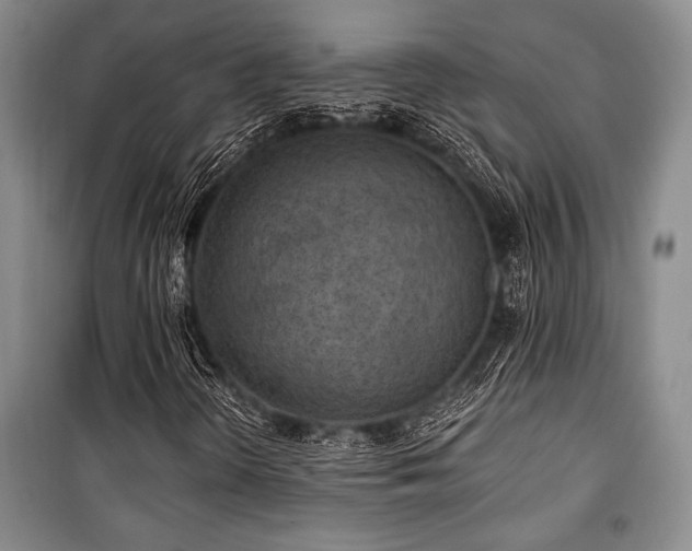 X0000101141298200806270910