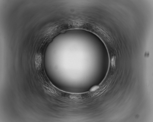 X0000101141299200806270910