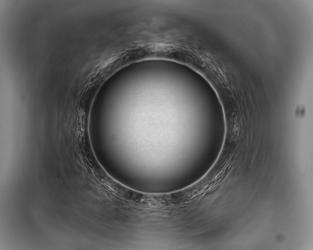 X0000101141301200806270910